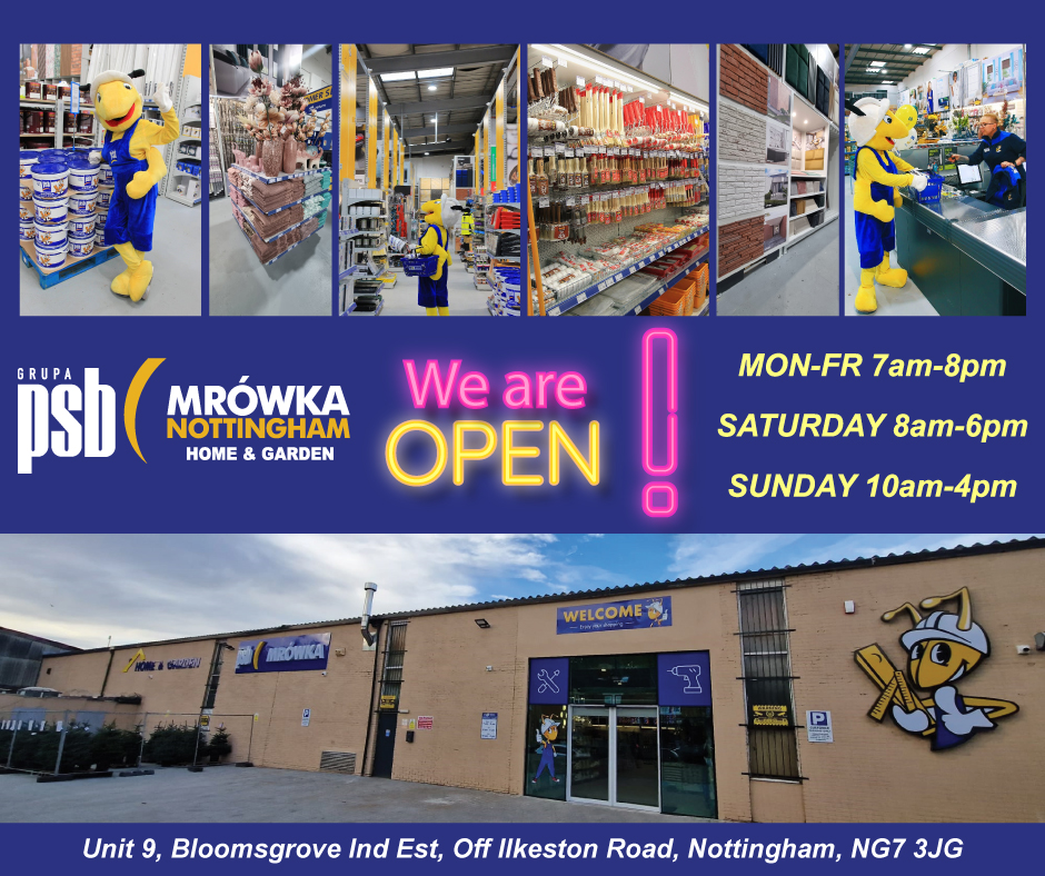 Mrówka featured offer 1